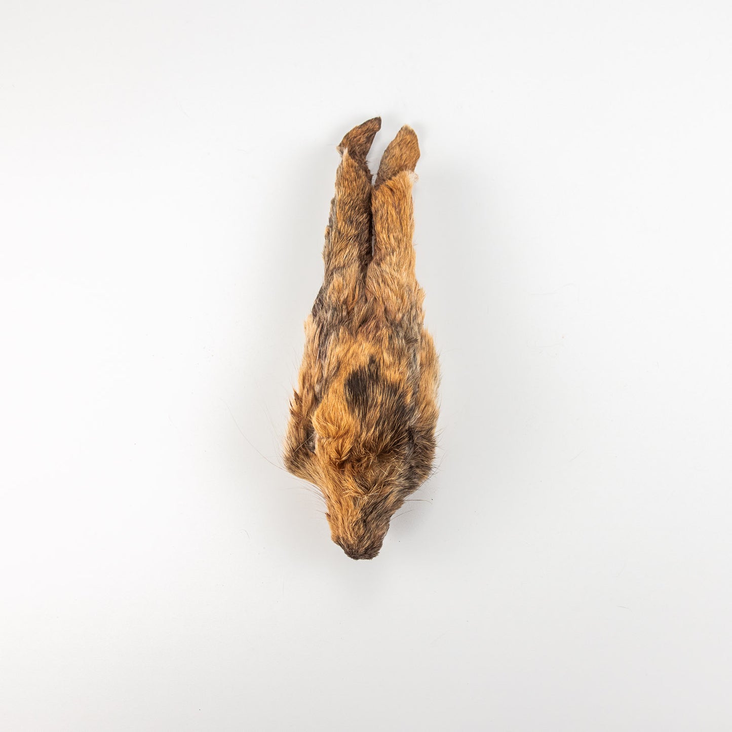 Rabbit Heads