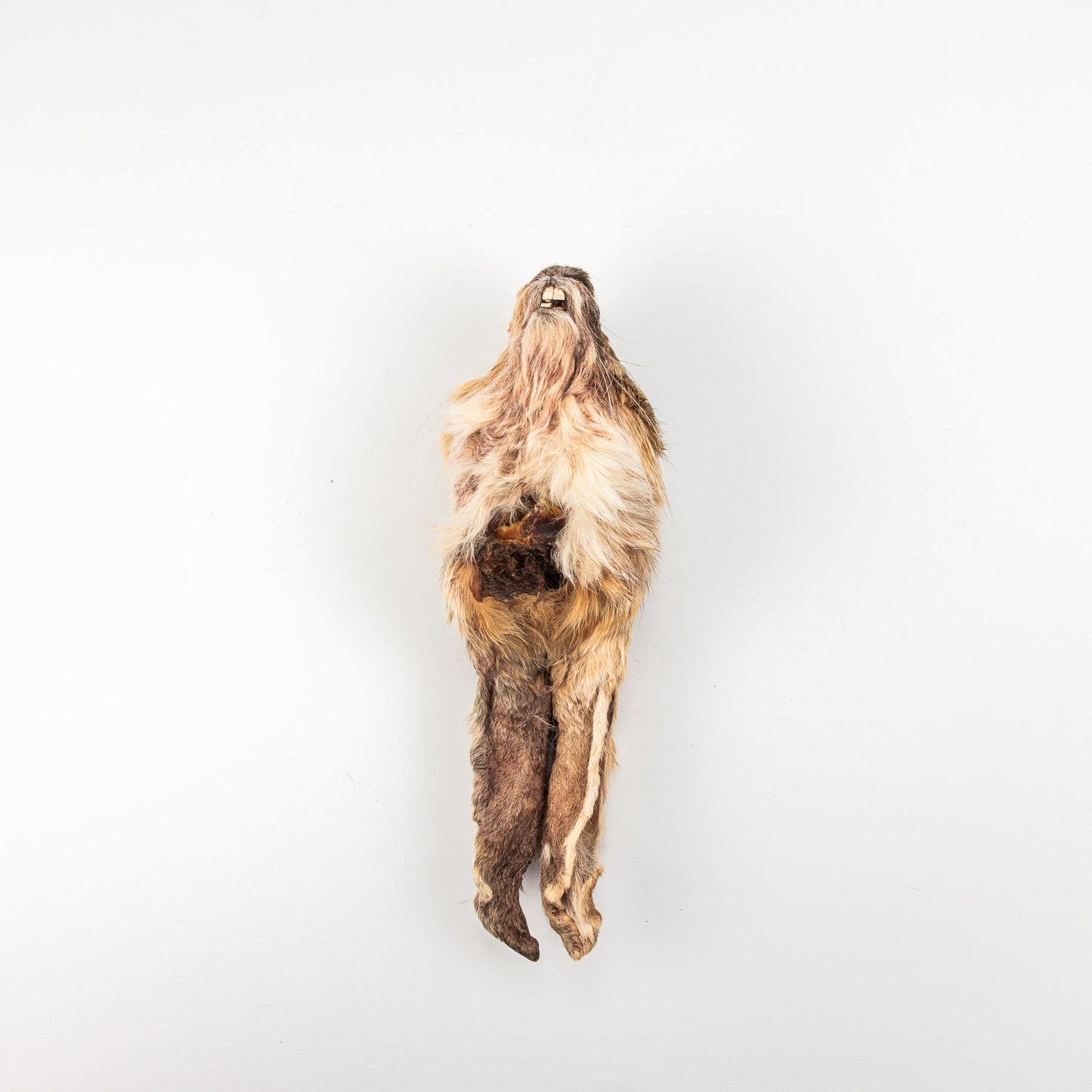 Rabbit Heads