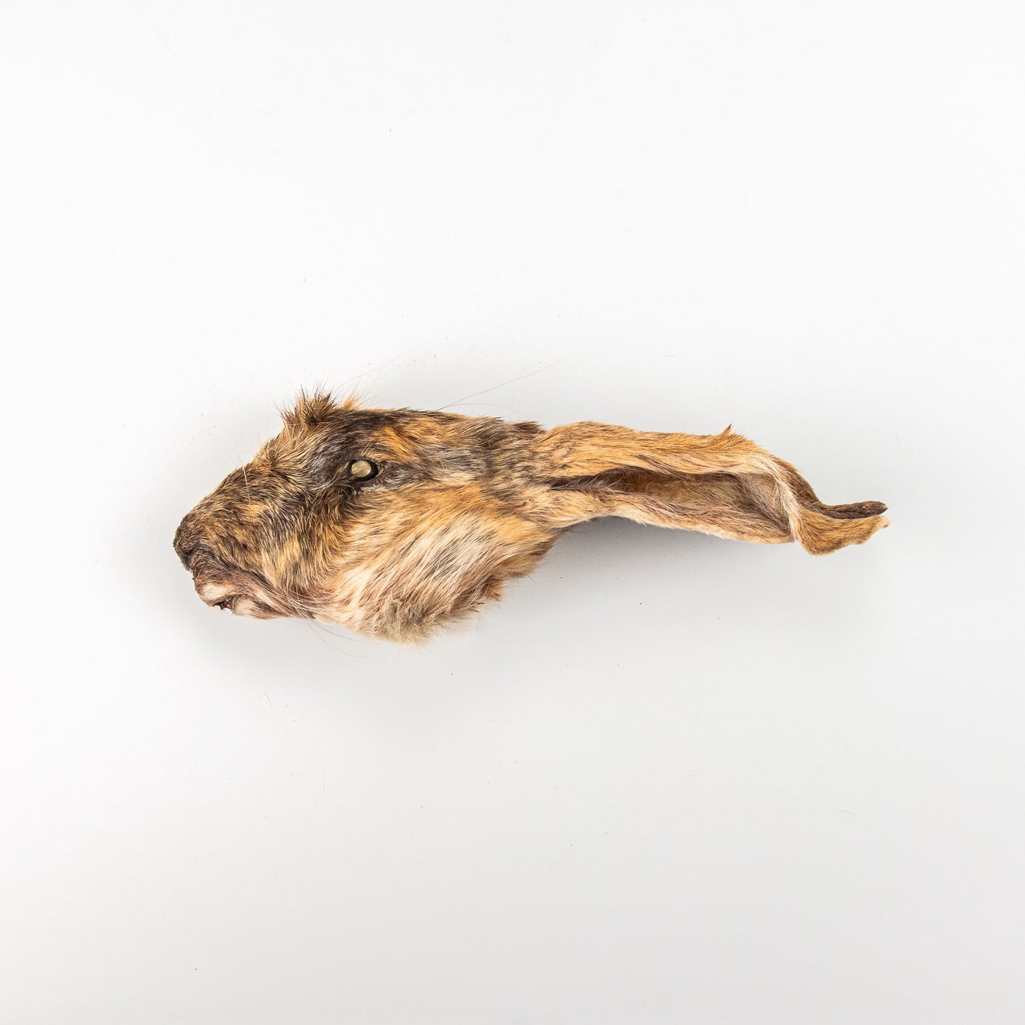 Rabbit Heads