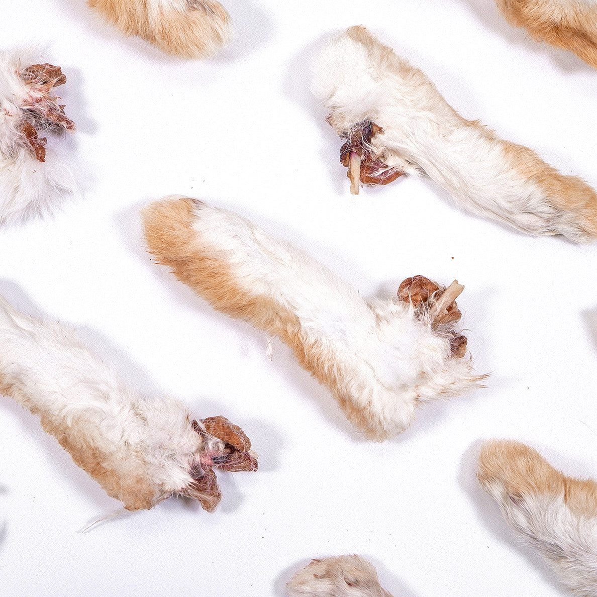 Dehydrated rabbit clearance feet