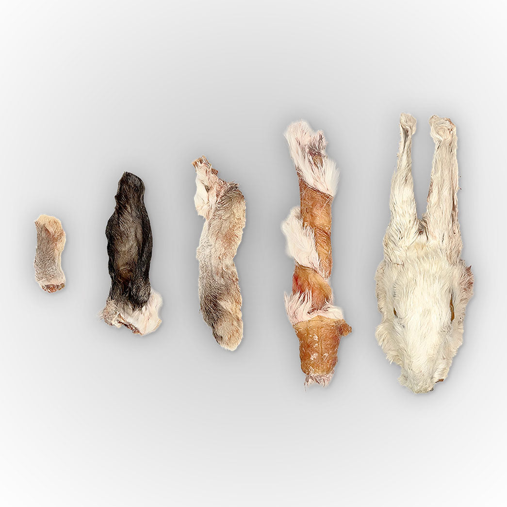 Rabbit Chews – The Rabbit Tap