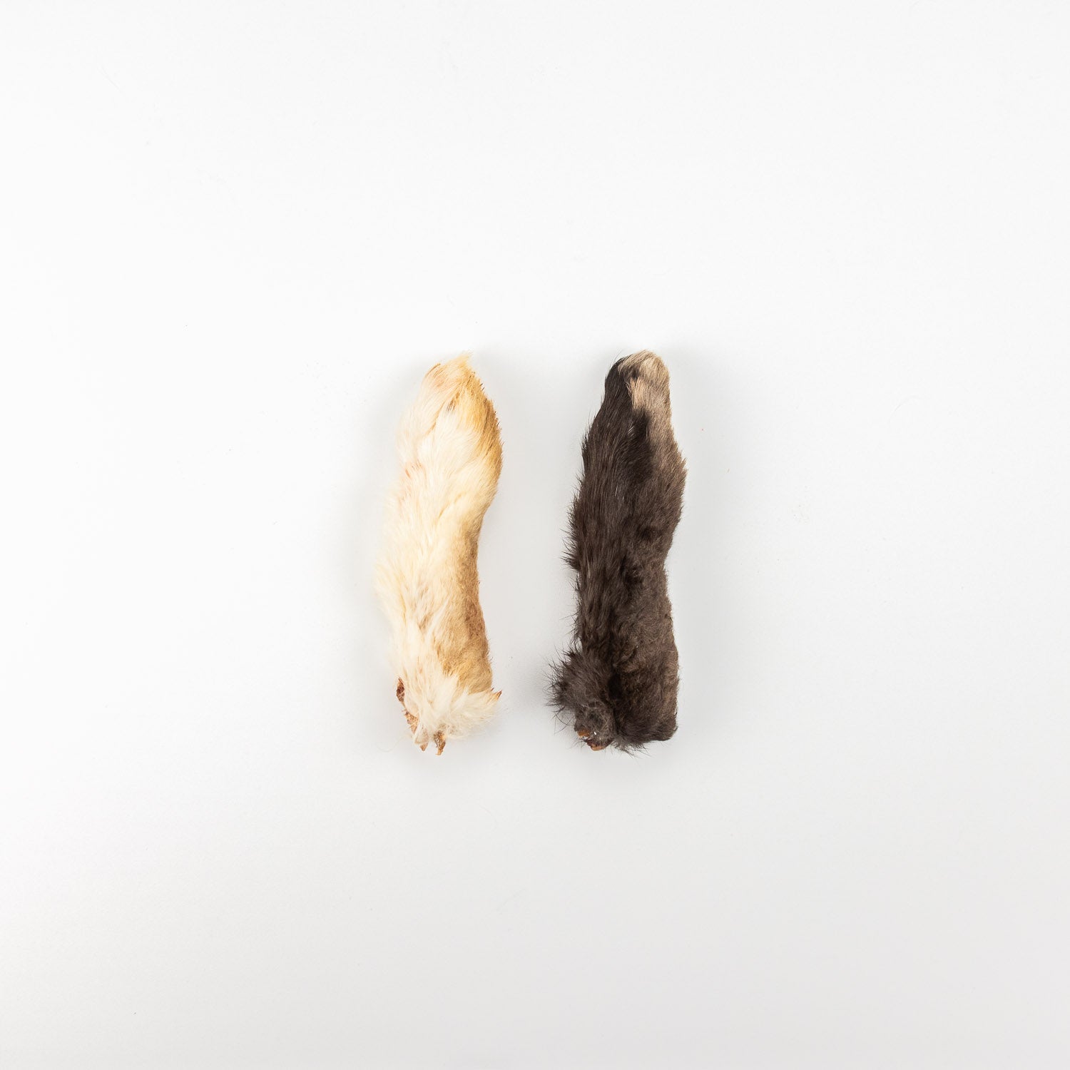 Dehydrated Rabbit Feet | Dog Chews – The Rabbit Tap