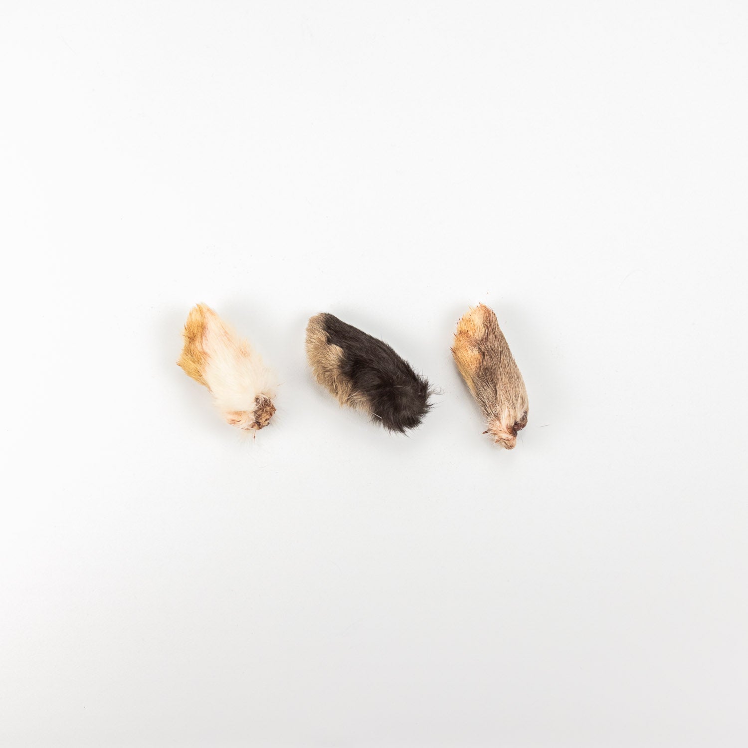 Rabbit Paw Treats | For Dogs – The Rabbit Tap