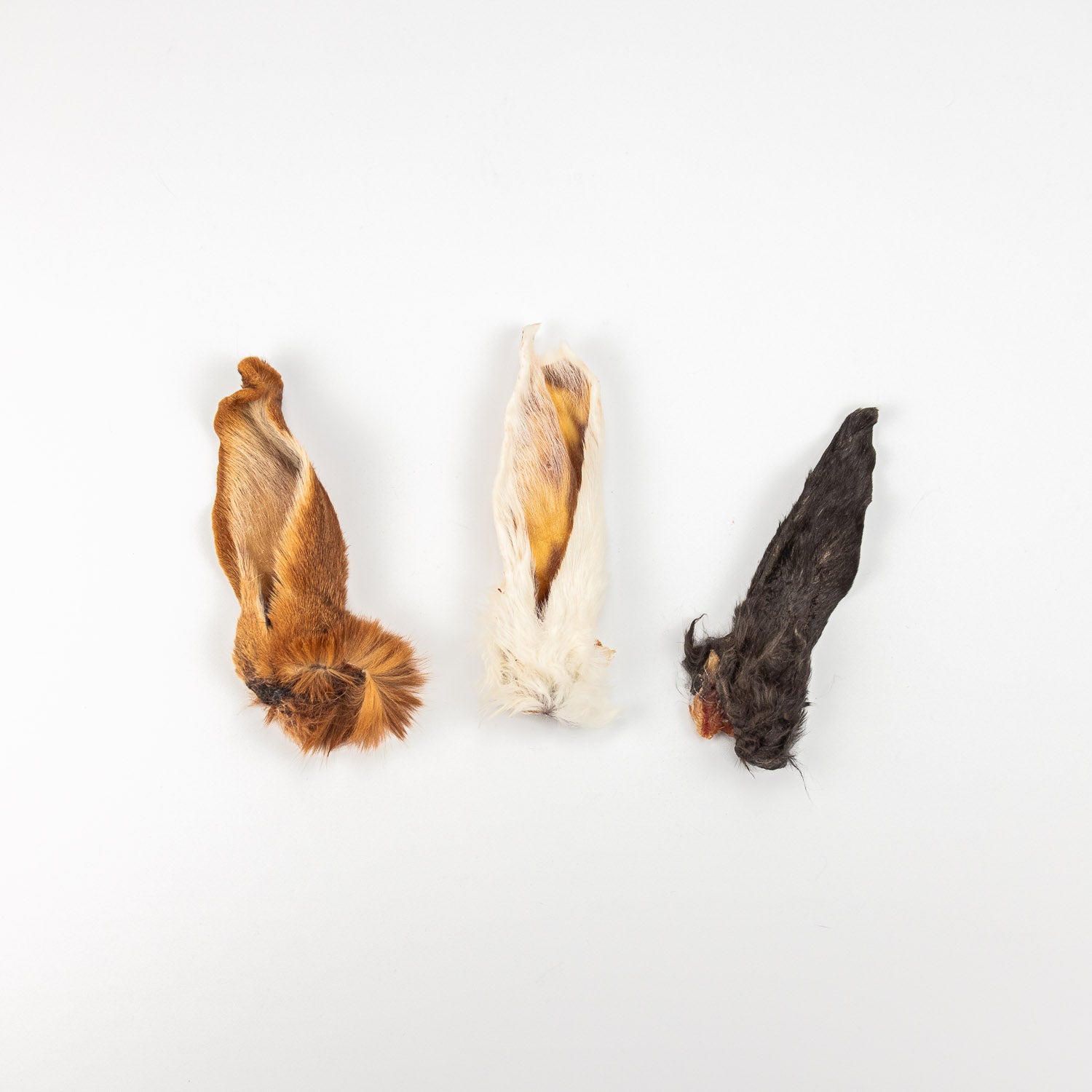 Dehydrated Rabbit Ears | For Cats and Dogs – The Rabbit Tap