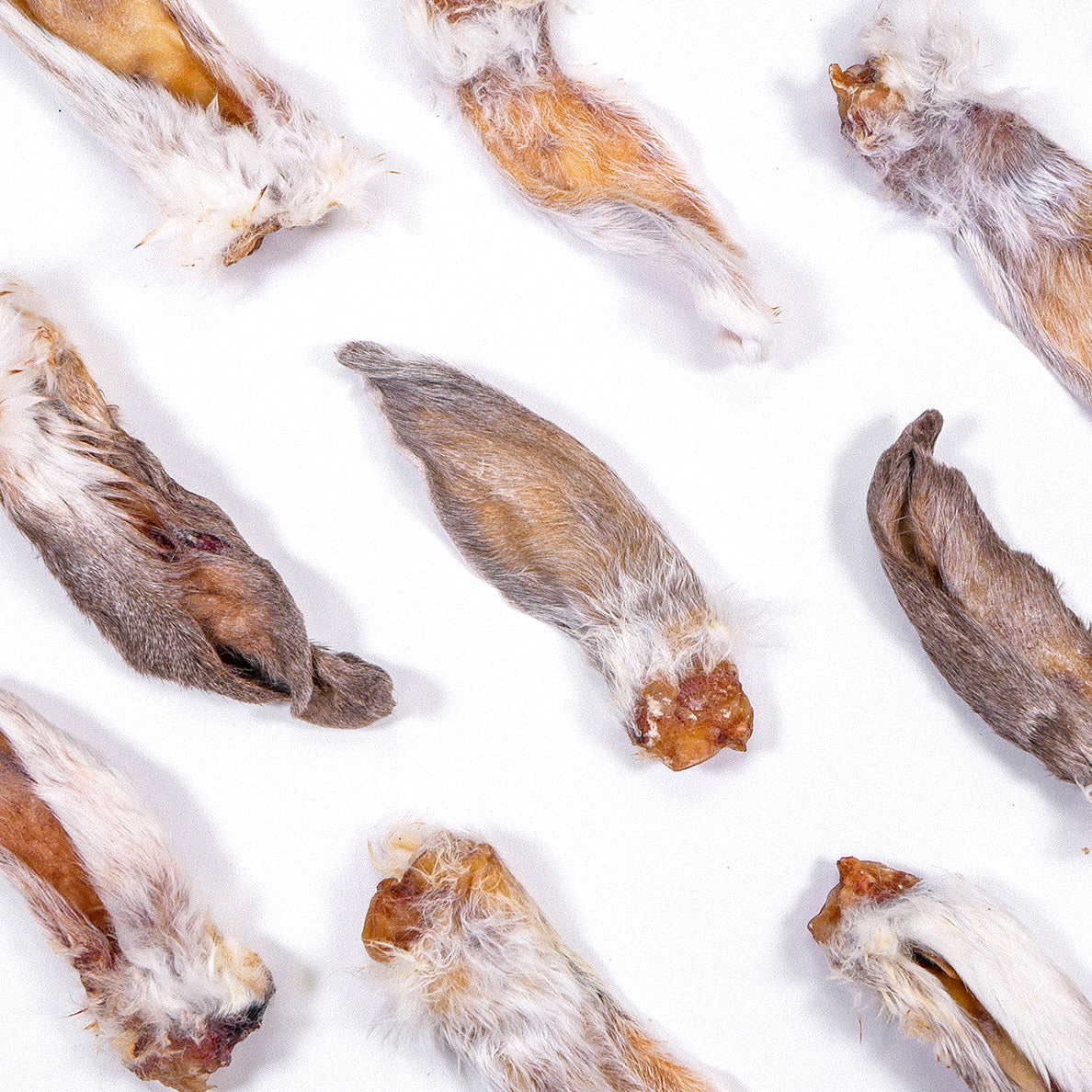 Dehydrated Rabbit Ears | For Cats and Dogs – The Rabbit Tap