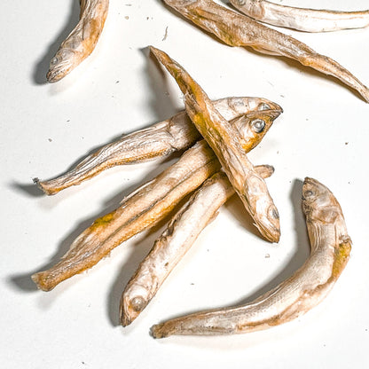 Freeze-Dried Smelt