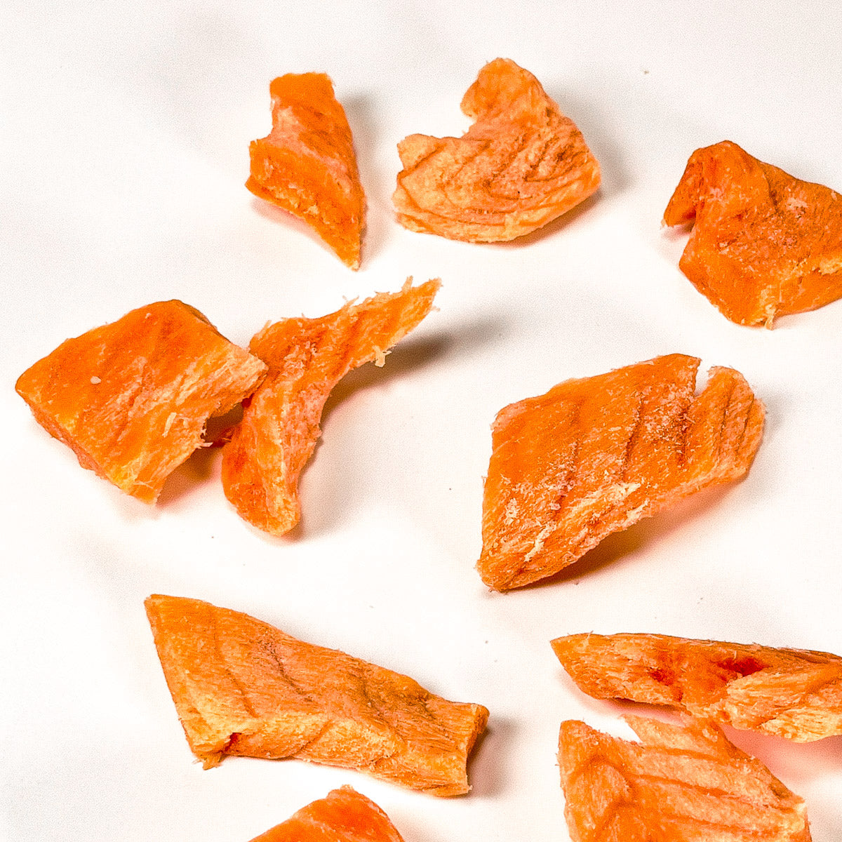 Freeze-Dried Salmon