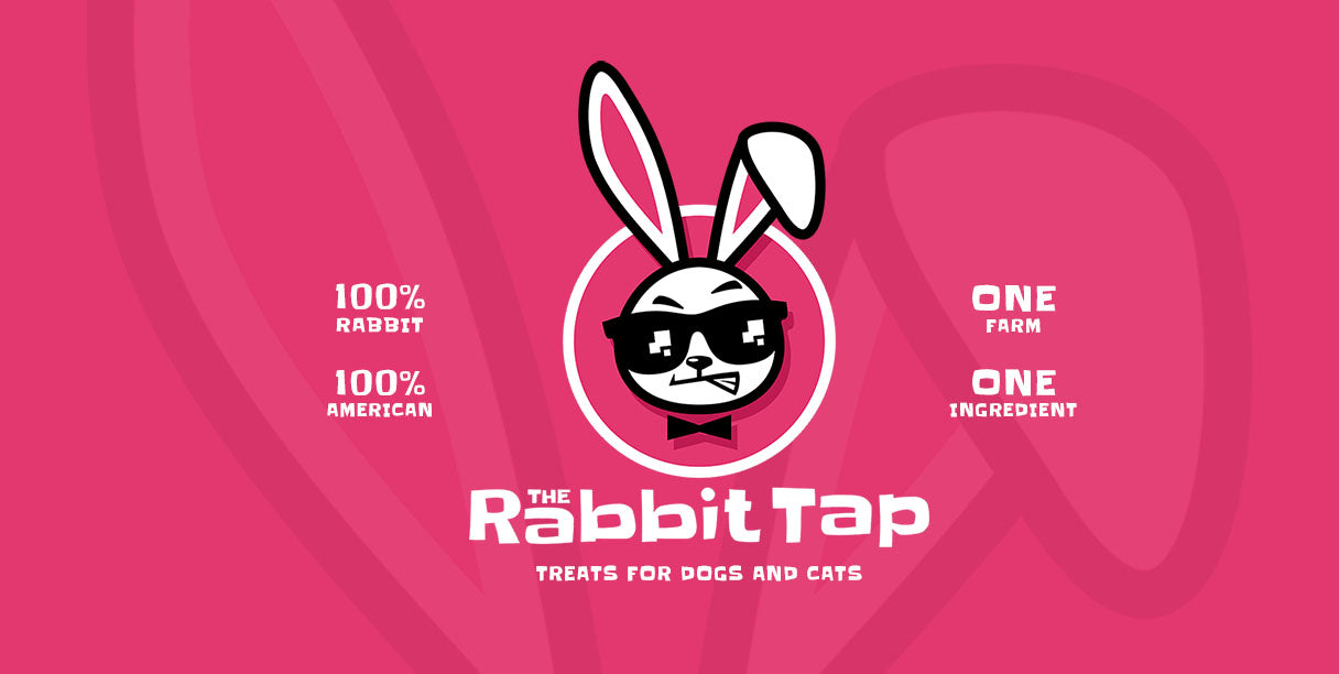 The Rabbit Tap | Homepage