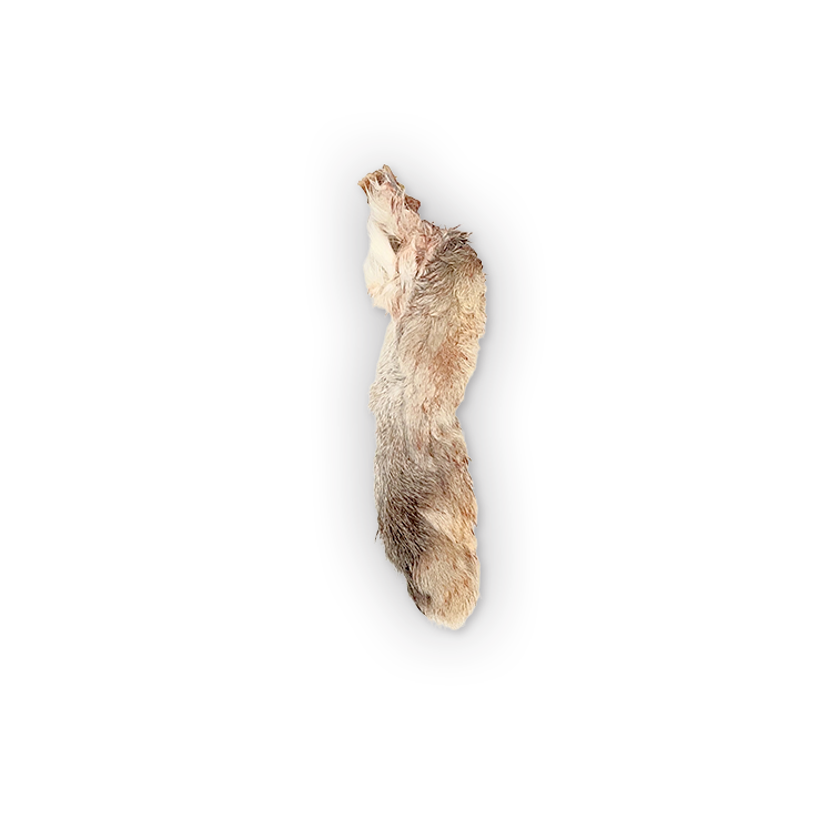 Dog Rabbit Feet Dehydrated Rabbit Feet | Dog Chews – The Rabbit Tap